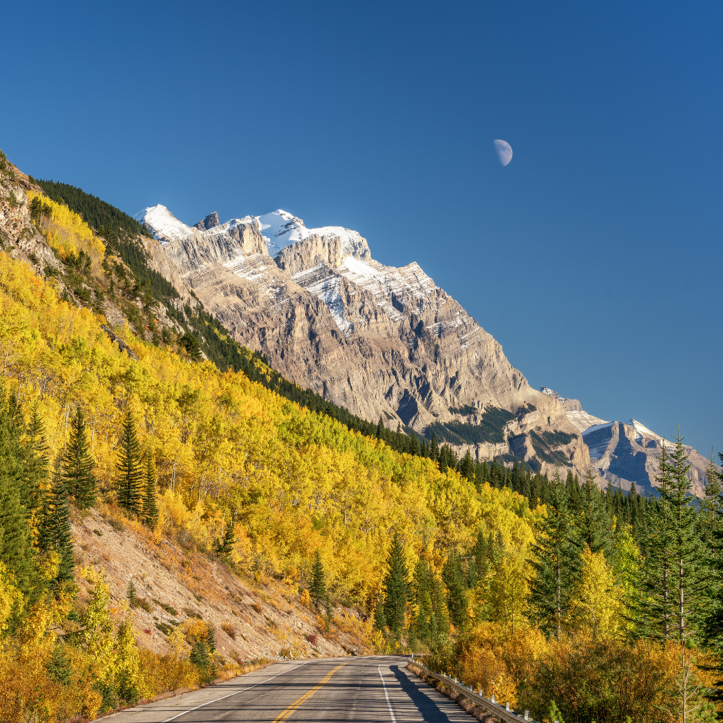 Nomination RO Canada + Vacances-travail